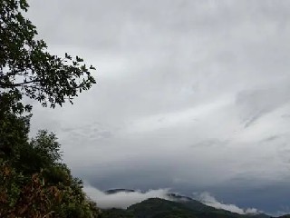 注统计的显著性差异包括科长和股长在内的所......《阿米巴经营导入手册》摘录